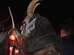 Foto Proseč 2023