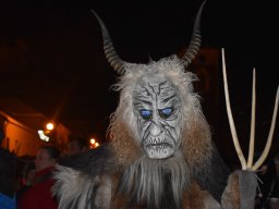 Foto Proseč 2023